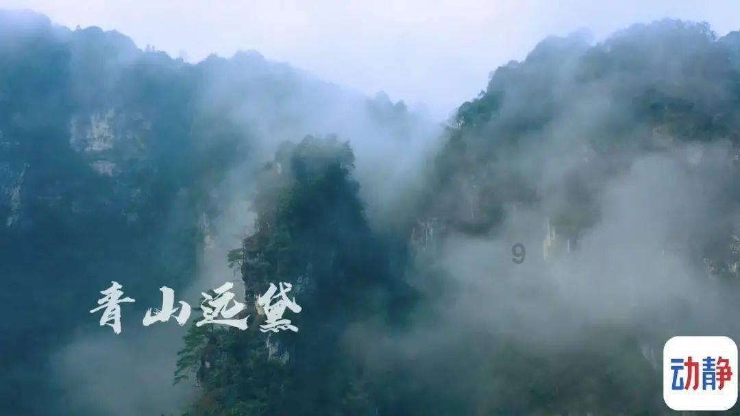 植物大战僵尸4